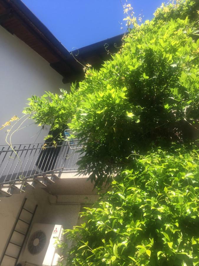 Delizioso Appartamento In Corte Vittuone Extérieur photo